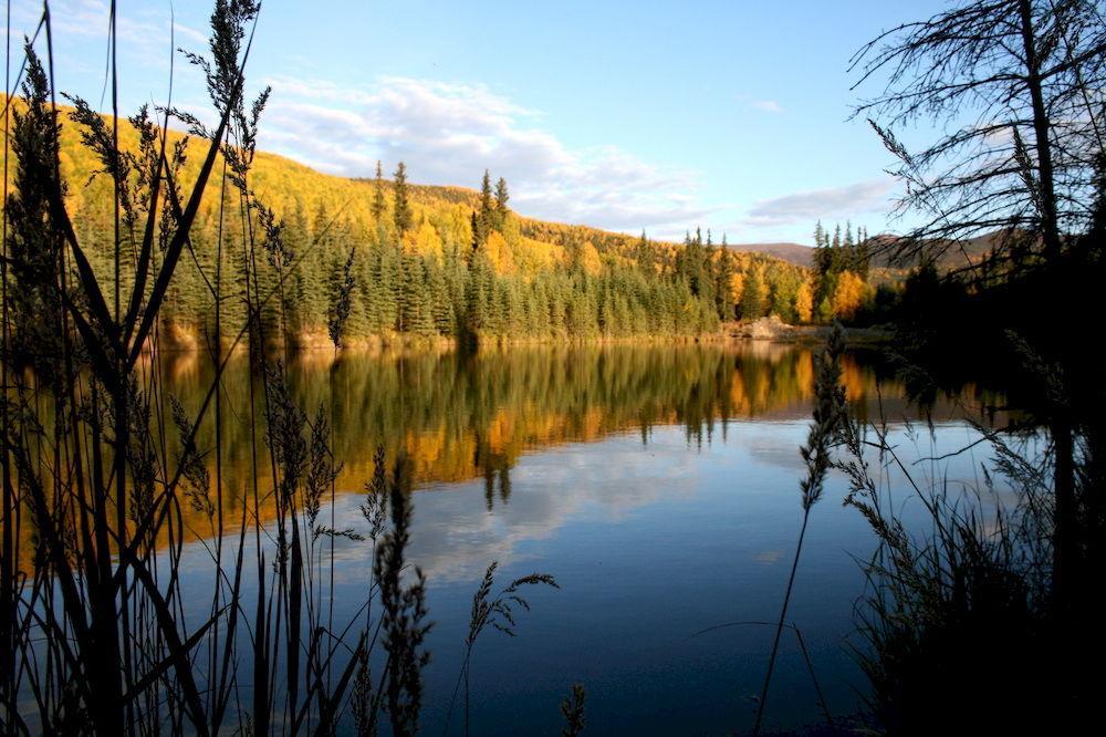 Chena Hot Springs Resort แฟร์แบงค์ส ภายนอก รูปภาพ