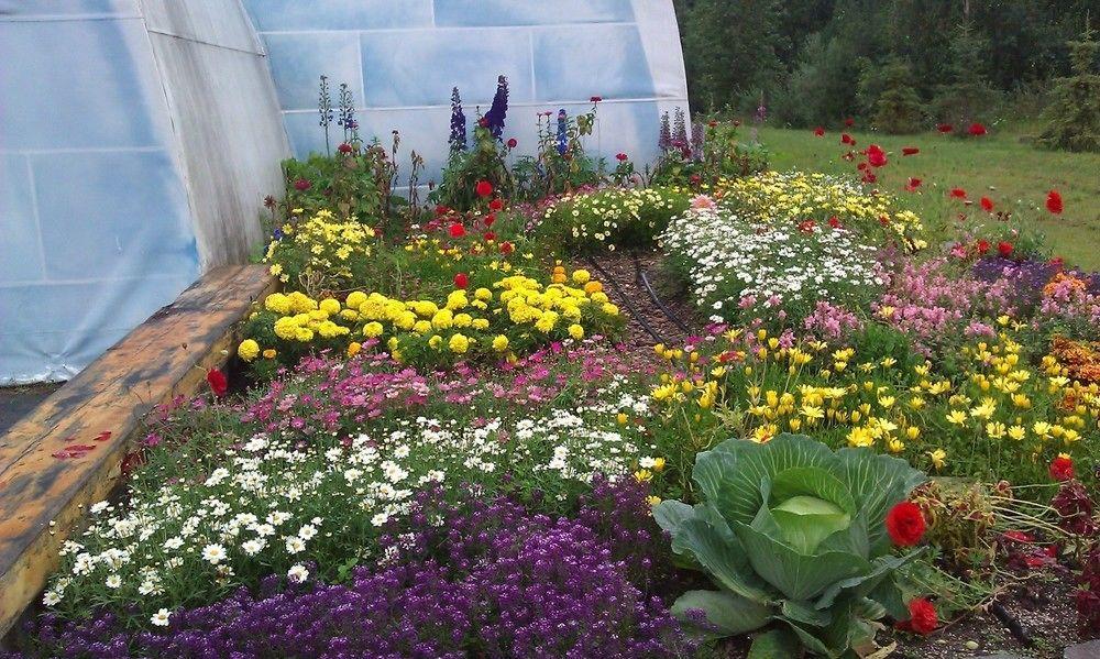 Chena Hot Springs Resort แฟร์แบงค์ส ภายนอก รูปภาพ